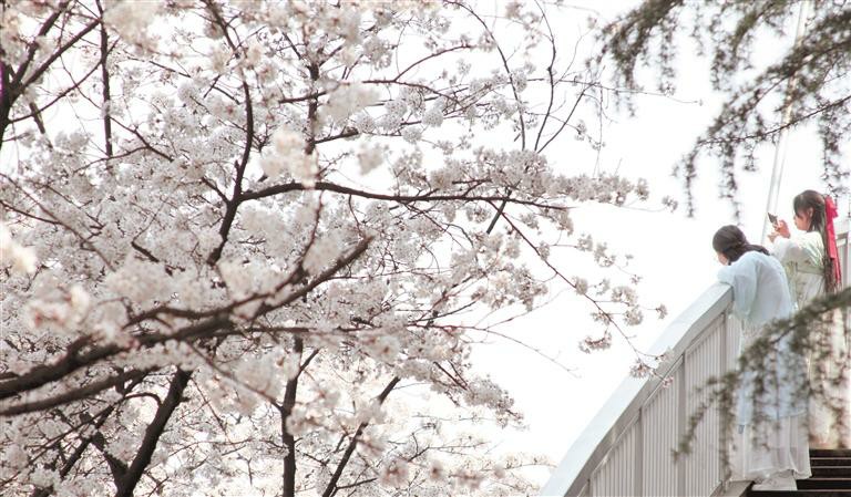 （中首）貴州水城河畔好春光_fororder_中首1