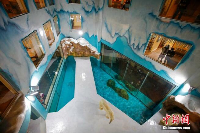 ハルビンに「シロクマホテル」開業　黒竜江省_fororder_FOREIGN202103151450000523375820346