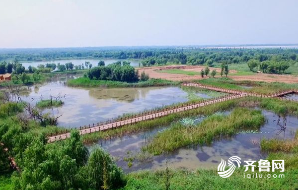 【頭條摘要】生態·文明·綠色彰顯山東版“綠水青山”style