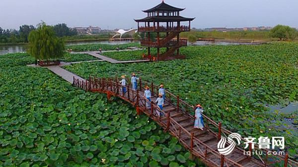 【頭條摘要】生態·文明·綠色彰顯山東版“綠水青山”style