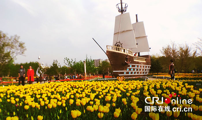 06【吉林】【原創】【CRI看吉林（標題）】長春公園：鬱金香花開靚春城