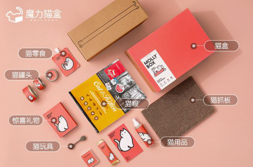 魔力猫盒实力出道！让定制化产品玩转潮趣轻时代