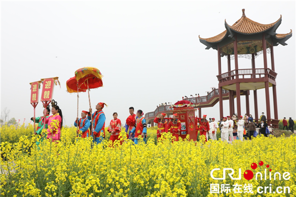 荆门张池村油菜花图片