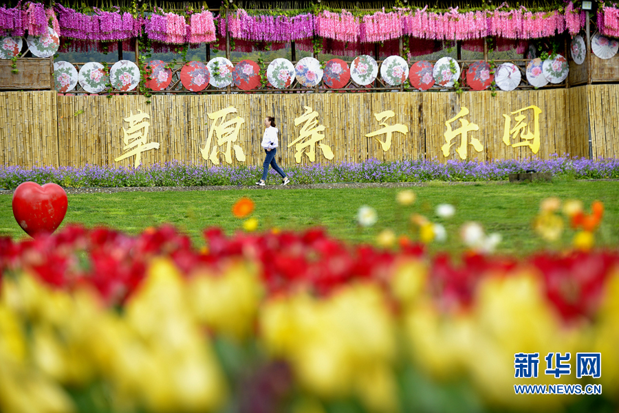 信陽固始西九華山第五屆鬱金香文化節開幕