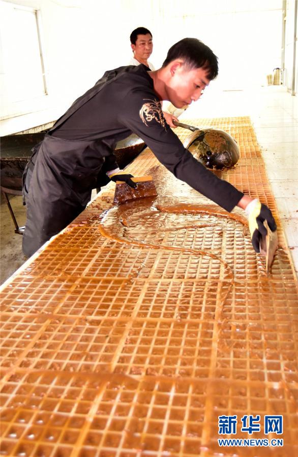 云南弥勒：古法制糖熬出村民甜蜜生活