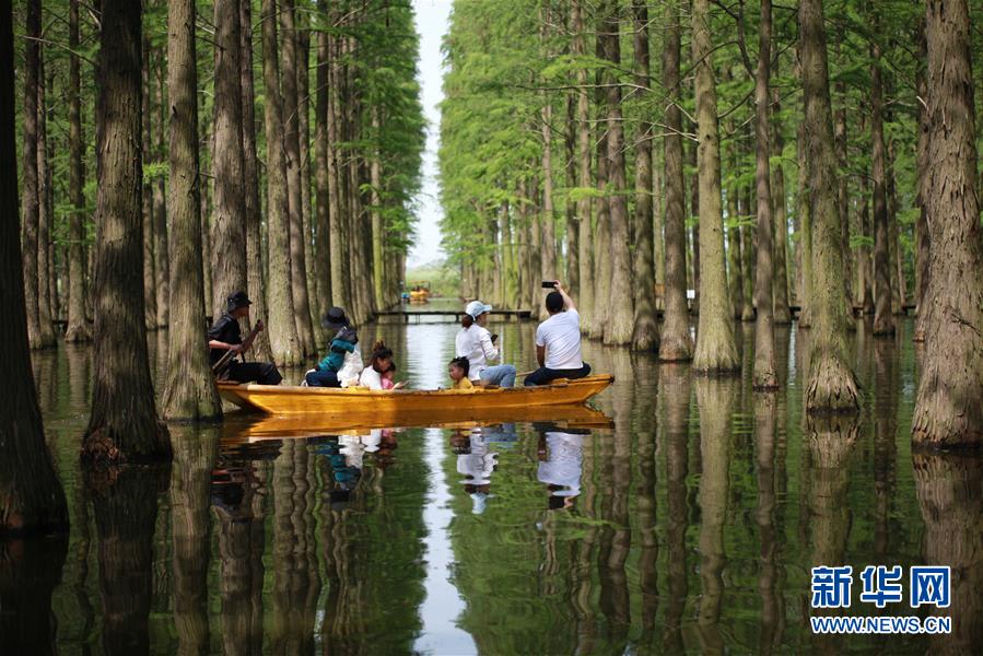 圖片默認標題_fororder_1