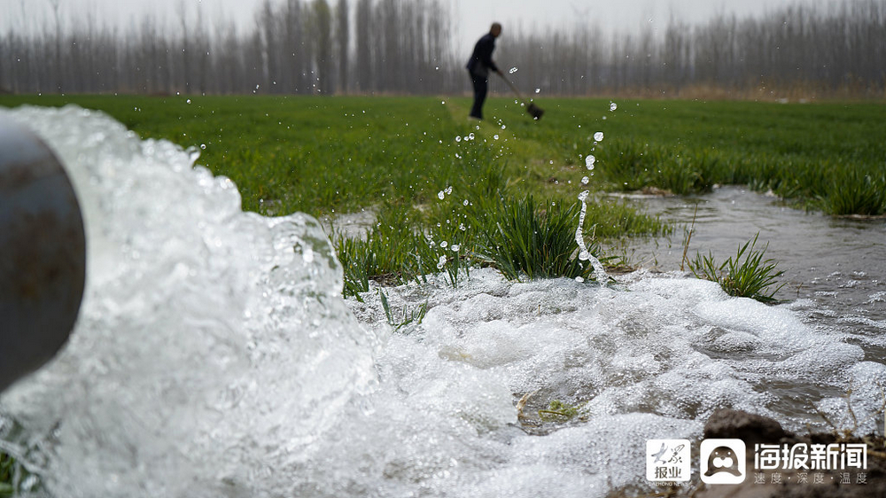 滨州：多处引黄闸开闸放水灌溉农田