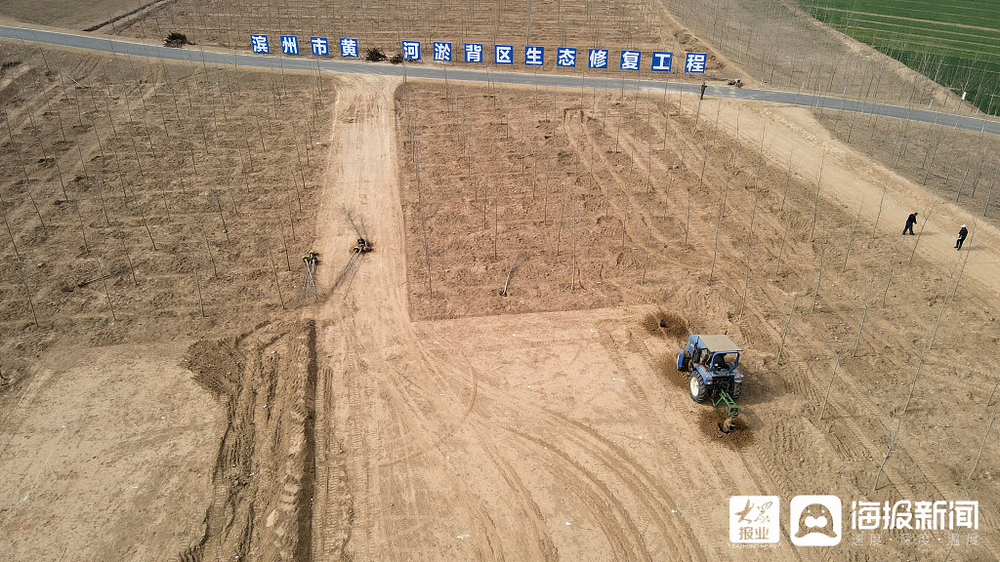 滨州：多处引黄闸开闸放水灌溉农田