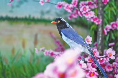 《大美东湖》生态教育让小学生当上“民间湖长”