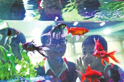 《大美东湖》生态教育让小学生当上“民间湖长”