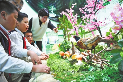 《大美东湖》生态教育让小学生当上“民间湖长”
