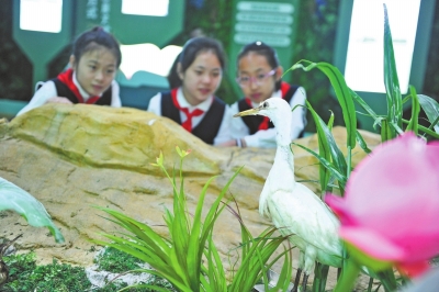 《大美东湖》生态教育让小学生当上“民间湖长”