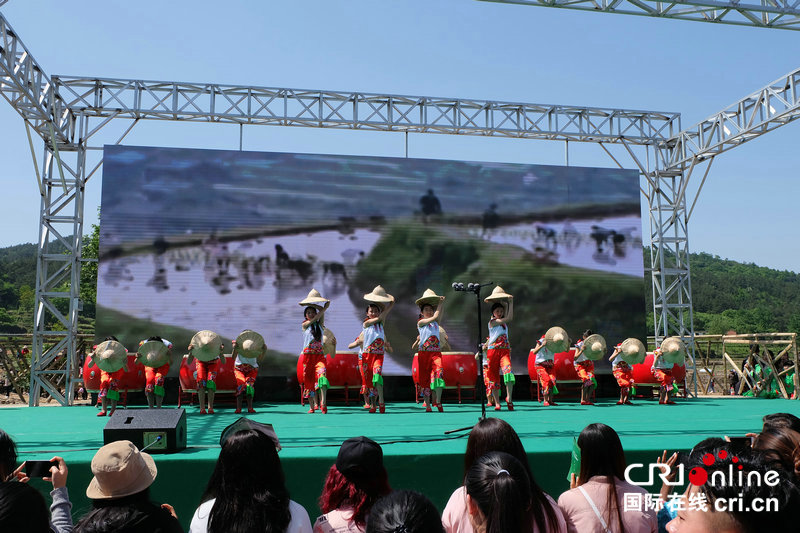 【河南原創】第二屆大別山插秧節在信陽市裏羅城舉行