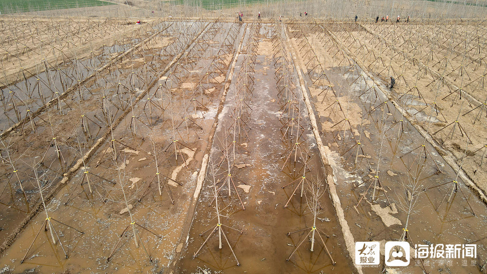 滨州：多处引黄闸开闸放水灌溉农田