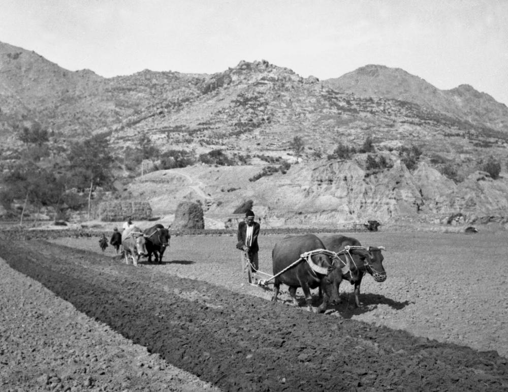 1957年,毛主席对山东临沂厉家寨作出批示