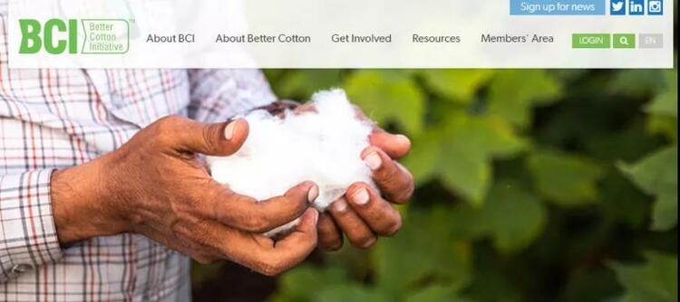 玉渊谭天丨"黑"新疆棉花,西方反华势力的又一次黑枪