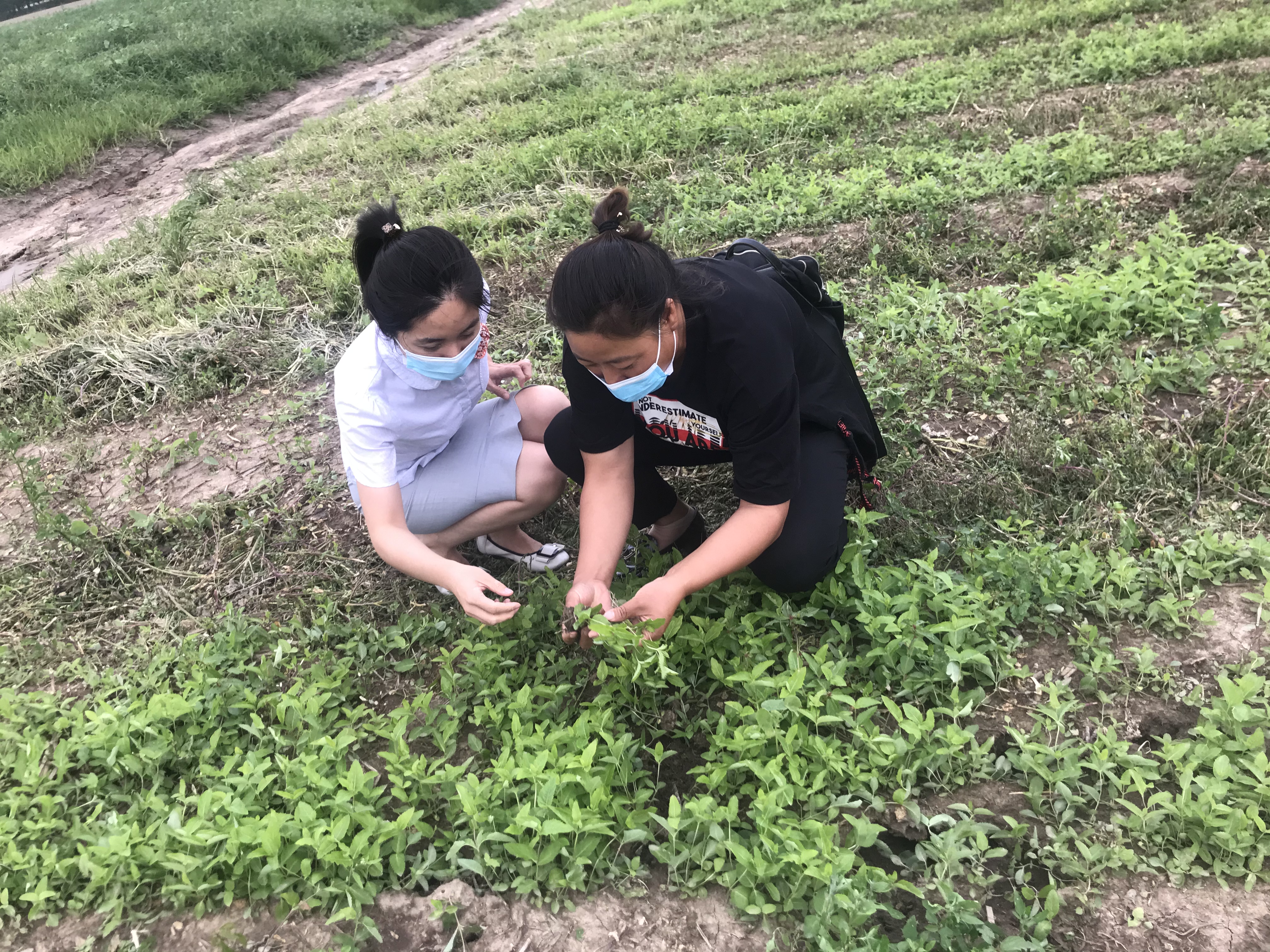 哈尔滨银行：农业产业的及时雨，乡村振兴活水源_fororder_11