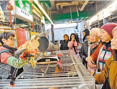 深圳活禽休市3周 香港官方:無(wú)須暫停內(nèi)地供港活雞