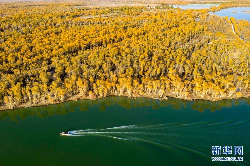 Xinjiang Yang Indah Permai_fororder_xjjs5