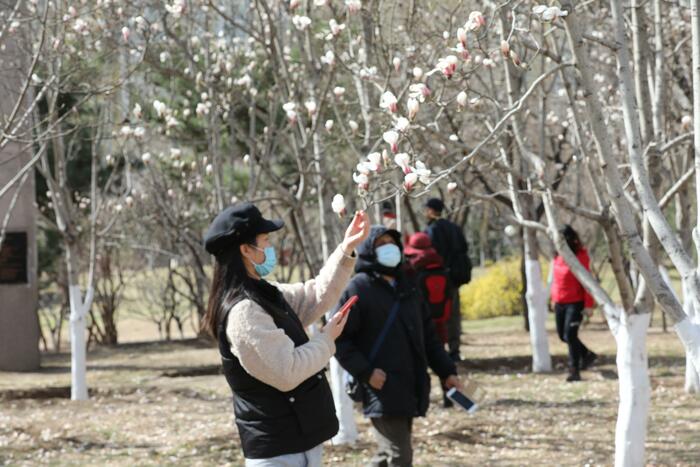 춘분, 목련꽃과 만나다._fororder_502A1234_极速看图