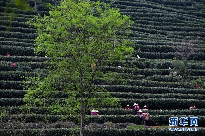 图片默认标题_fororder_1125767400_15851350625811n