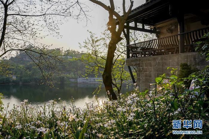 图片默认标题_fororder_1125765244_15851067621311n