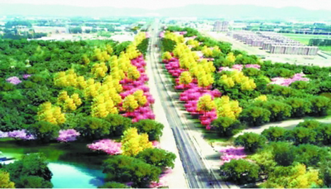 京張高鐵沿線年底添綠超9000畝