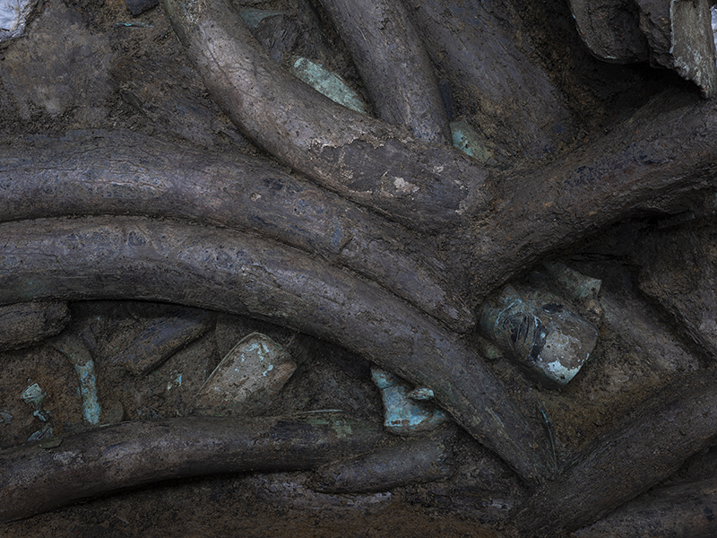 500余件文物出土 三星堆遗址考古取得重要收获_fororder_三号坑出土文物场景