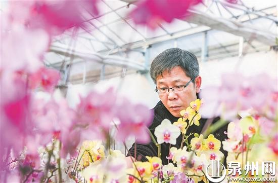 泉州：科技助力新農人 澆灌美麗“蝴蝶夢”