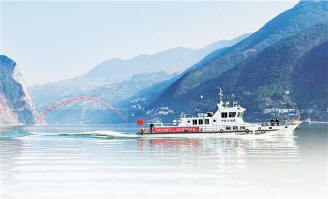 讓母親河重現水清魚躍——重慶保護長江水生生物背後的故事