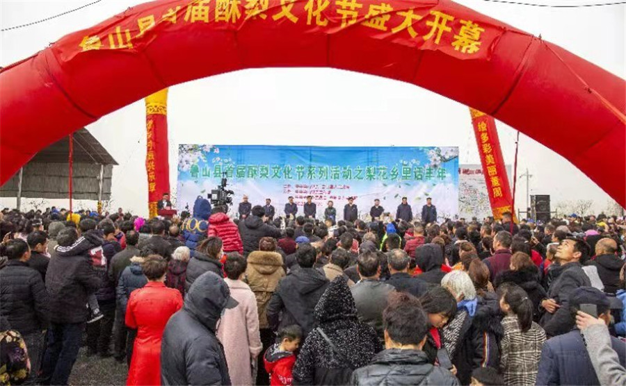 梨花乡里话丰年 平顶山市鲁山县首届酥梨文化节开幕