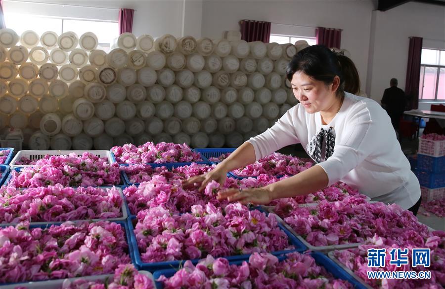 圖片默認標題_fororder_1210126179_15570444276991n