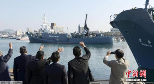 美澳等四国发表联合声明 反对日本重启科研捕鲸
