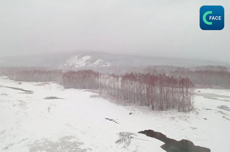 “เมืองที่หนาวที่สุดในจีน” หิมะฤดูใบไม้ผลิปลิวโปรยปราย หิมะตกค้าง เสมือนภาพวาด_fororder_20210401News03_3