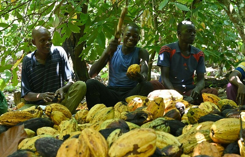 Kasashen Yammacin Duniya Sun Kau Da Kai Daga Cocoa Da Suke Samu A Yammacin Afirka_fororder_coco