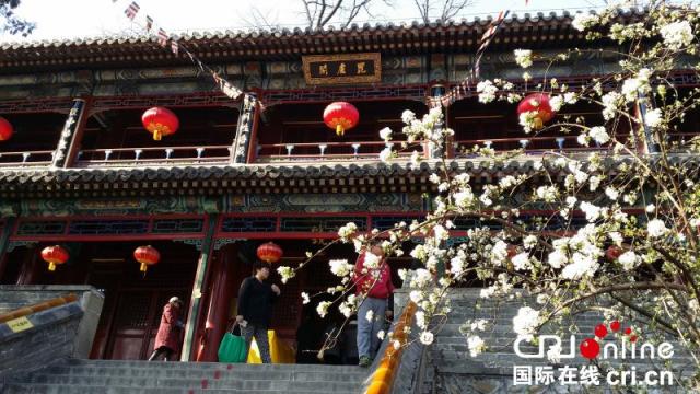 Beijing’de kültür ve turizm düzeni kademe kademe normale dönüyor_fororder_a4c2920390326140520