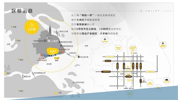 杭州旭航入驻奉贤 打造南上海流量经济新高地