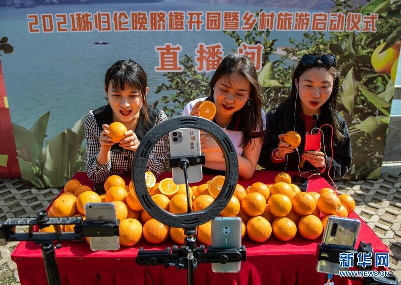 图片默认标题_fororder_4