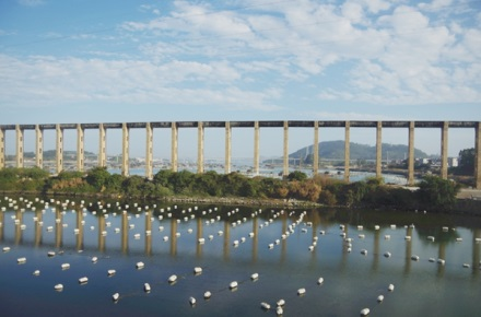 福建省建科院中标漳州向东渠八尺门渡槽异地迁移保护工程项目