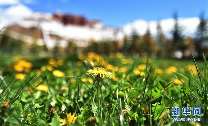 图片默认标题_fororder_1124459293_15571878564191n