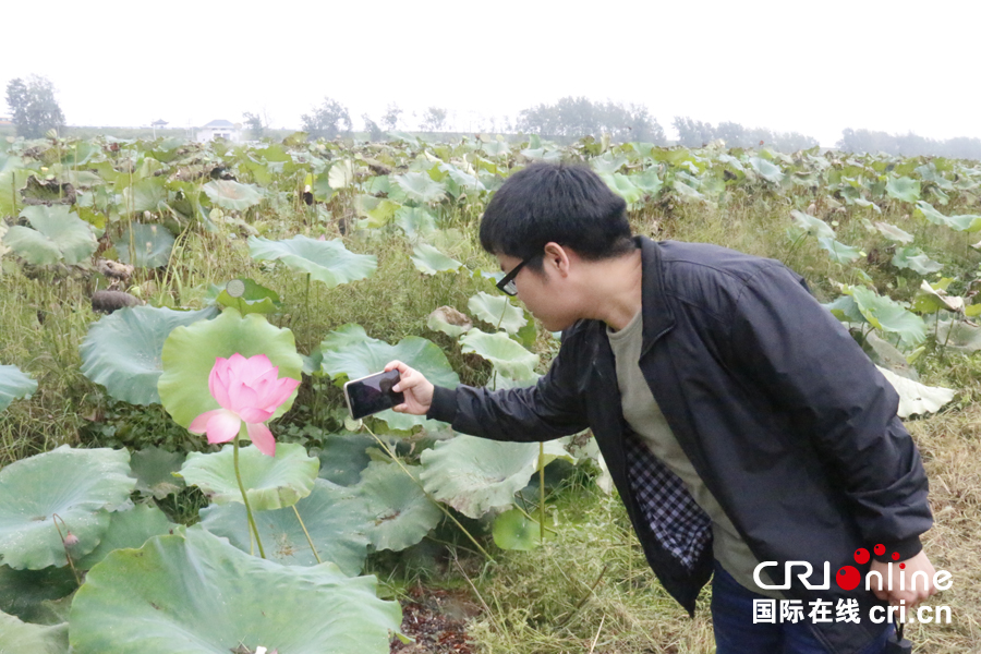 丝路大V看合肥 博览园里赏荷花（组图）