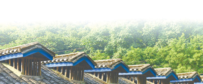 他们在烈火中永生（红色之旅·百年记忆）