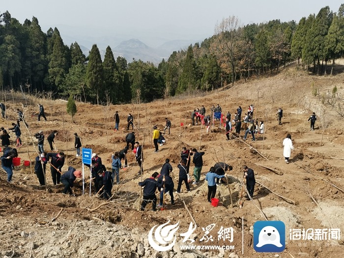 山東首個“碳中和林”項目落地濟南，可抵消四家企業碳排放