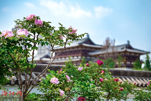 4月3日至5月10日来洛阳 “唐妞”带你游唐宫