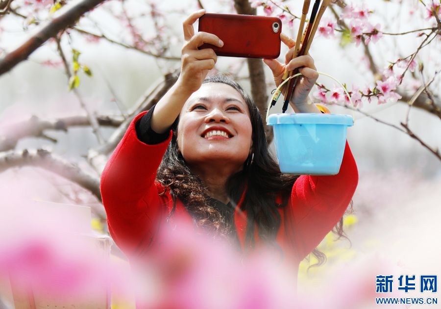 河南尉氏：万亩桃花盛开 游客纷至沓来_fororder_5