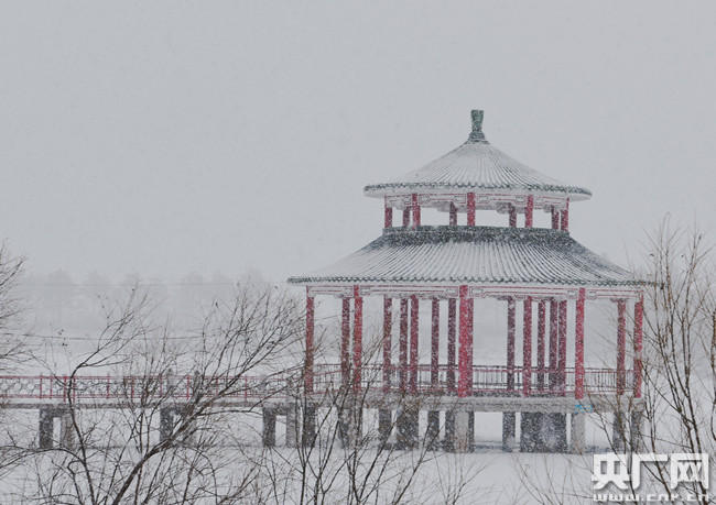 黑龙江大兴安岭呼玛县四月飞雪