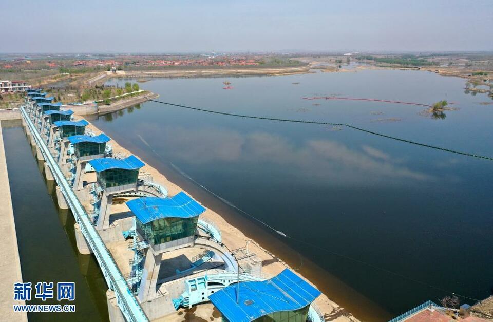 山东即墨：沽河沿岸春光美