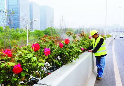（要闻）南京市一批环境整治工程“十一”前完工