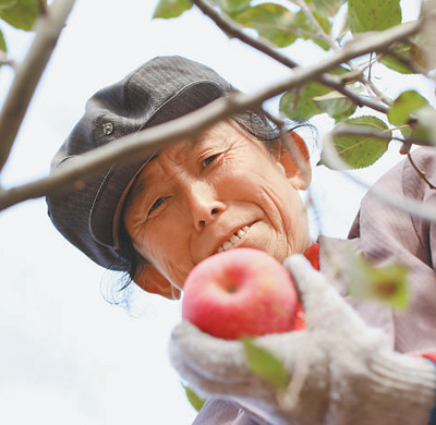 延安告别绝对贫困