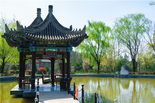 畅游中国·周原 尽享春光_fororder_图片407